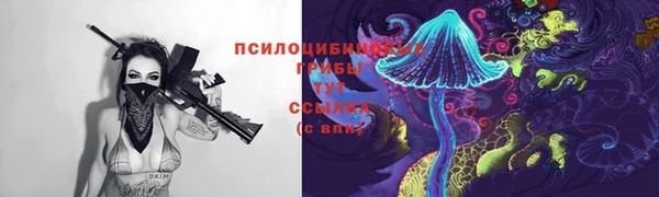 ГАЛЛЮЦИНОГЕННЫЕ ГРИБЫ Алексеевка