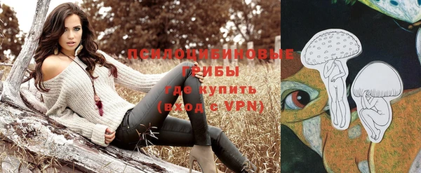шишки Алексин