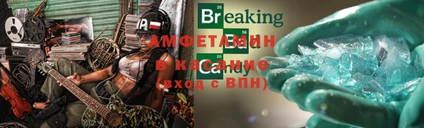 шишки Алексин