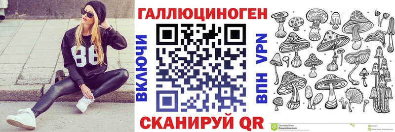 Галлюциногенные грибы Psilocybine cubensis  купить наркотики сайты  Димитровград 